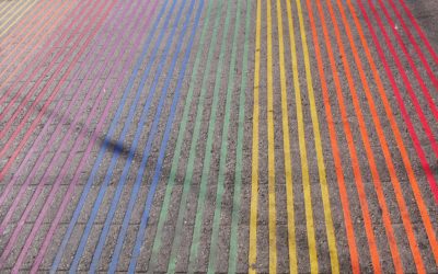 17 mai – Journée internationale de la lutte contre l’homophobie, la transphobie & la biphobie